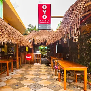 Oyo ***** Playa del Carmen