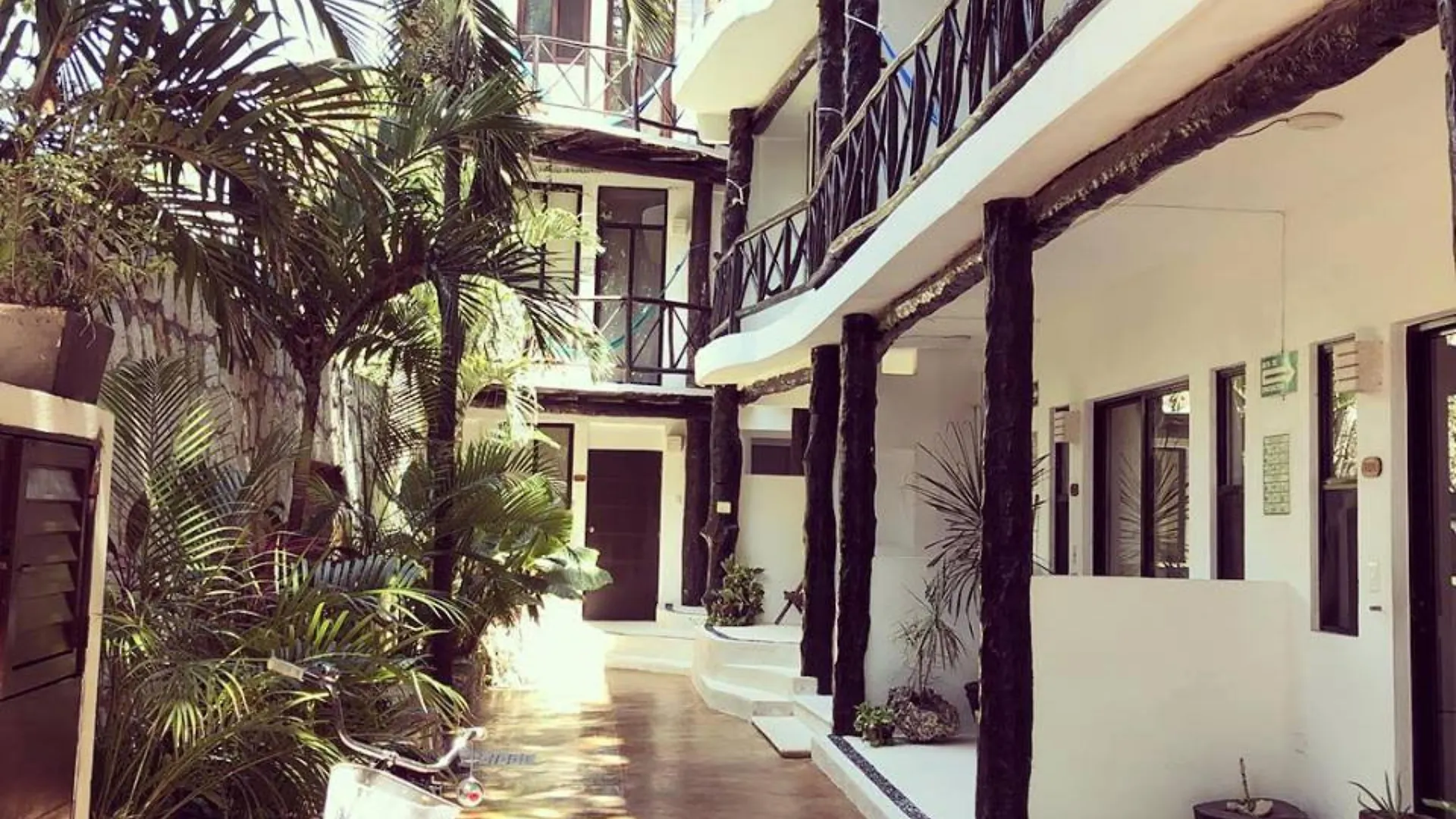 Siesta Fiesta Hotel Adults Only - 5Th Avenue 신데 델 카르멘 멕시코